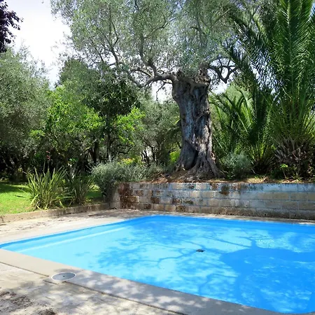 Two-room Classic By Interhome Castiglione della Pescaia
